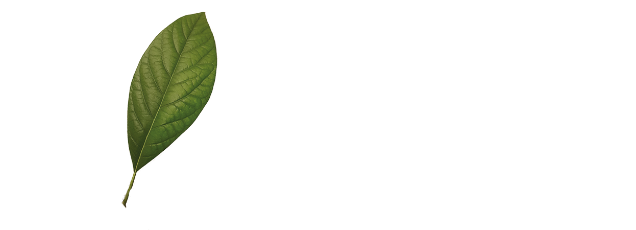 The Word IONISE, in the color White, with a Avocadoleaf through the O